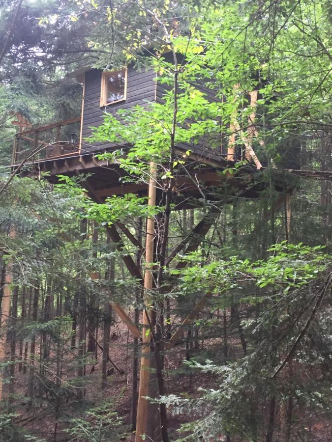 Hotel Cabane De L'Ecureuil Châtel-Guyon Exterior foto